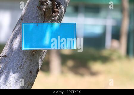 Blank blue label on trunk of tree and have copy space for design in your work. Stock Photo