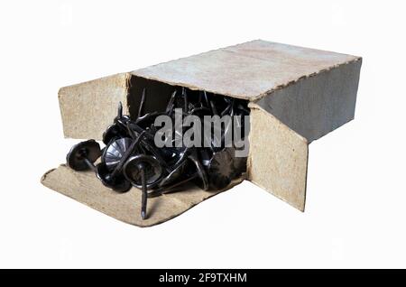 Black push pins in a gray cardboard box. Accessories for upholstery work in the workshop. Dark background. Stock Photo