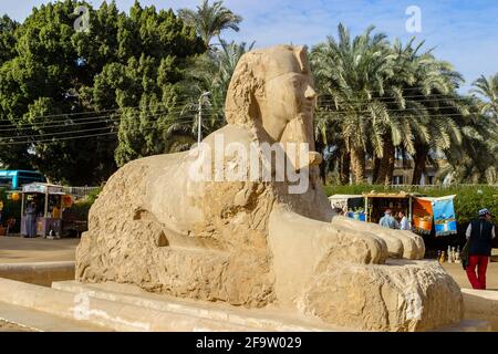 The alabaster Sphinx of Memphis outside the Temple of Ptah in the open-air museum at Memphis, the ancient Egyptian capital of Lower Egypt Stock Photo