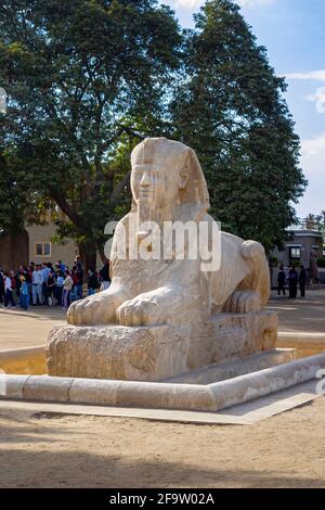 The alabaster Sphinx of Memphis outside the Temple of Ptah in the open-air museum at Memphis, the ancient Egyptian capital of Lower Egypt Stock Photo