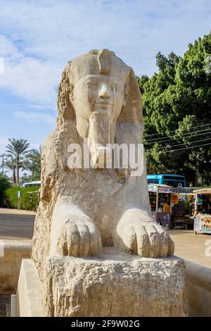 The alabaster Sphinx of Memphis outside the Temple of Ptah in the open-air museum at Memphis, the ancient Egyptian capital of Lower Egypt Stock Photo