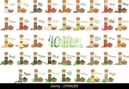Set of 40 different culinary herbs, species and condiments in cartoon style. Stock Vector