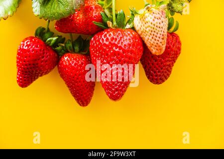 fresh homegrown strawberries against a yellow background Stock Photo