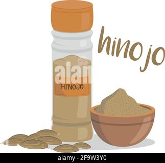 Vector fennel illustration isolated in cartoon style. Spanish name. Herbs and Species Series Stock Vector