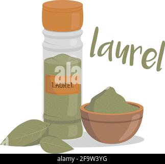 Vector bay illustration isolated in cartoon style. Spanish name. Herbs and Species Series Stock Vector