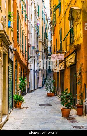 GENOA, ITALY, MARCH 13, 2016: view of a narrow street in the historical center of the italian city genoa. Stock Photo