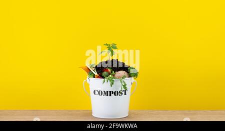 Kitchen compost bucket containing kitchen food waste with tomato plant growing in top, recycle food waste by composting and growing your own food Stock Photo