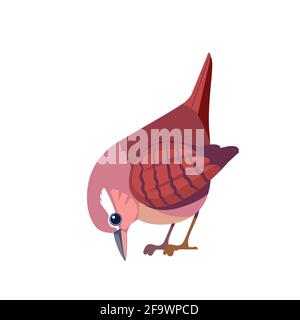 Wren bird. Cartoon flat beautiful character of ornithology, vector illustration isolated on white background. Tiny European House Wren songbird Stock Vector