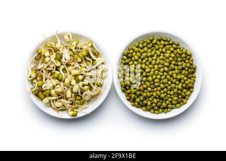 Sprouted green mung beans and dried beans. Mung sprouts isolated on white background. Stock Photo