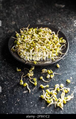 Sprouted green mung beans. Mung sprouts in plate on black table. Stock Photo