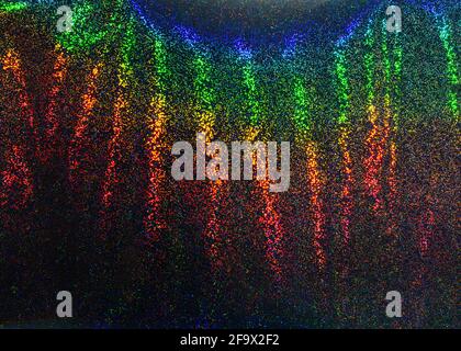 Abstract colorful holographic striped background. Futuristic blurred texture. Stock Photo
