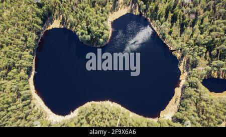 Aerial shot. A lake of blue water that resembles the contour of the Latvian state with the reflection of white cumulus clouds in the water, surrounded Stock Photo