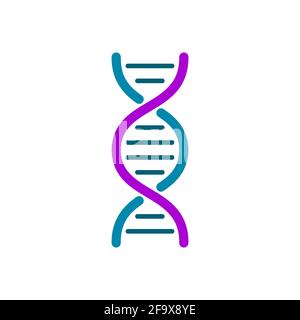 Colorful DNA icon. Simple DNA helix on white background. Genetic material symbol. Blue and purple DNA spiral molecule. Human genome design element. Stock Vector