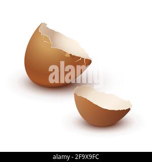 Broken empty eggshell isolated on white background. Vector realistic brown egg Stock Vector