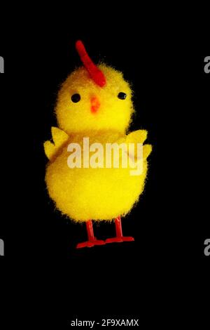toy chicken isolated on black background. little yellow funny chicken. High quality photo Stock Photo