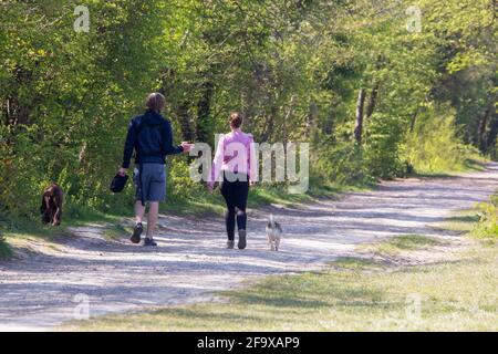 a young couple walking their dogs in the countryside with the man carrying a child in a baby carrier Stock Photo