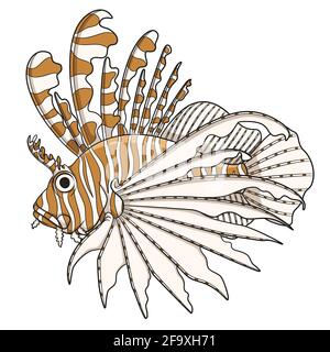 Color illustration lionfish. Vector objects on a white background. Stock Vector