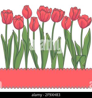 Vector card with red tulips and place for an inscription. Isolated objects. Stock Vector