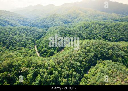 Aerial view of a river in a Teak forest near Thailand and Myanmar border. Mae Hong Son, Thailand. Stock Photo