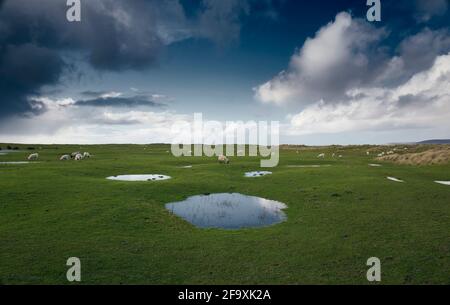 Dramatic clouds in the sky against a small puddle of water after a weather rainfall, Westward Ho! burrows, Devon, UK Stock Photo