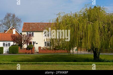 Houses and weeping willow tree in the village of Barmby Moor, East Yorkshire, England UK Stock Photo