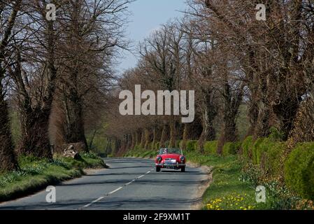 Open-topped sports car on road lined with trees and hedges, near Ulleskelf, North Yorkshire, England UK Stock Photo