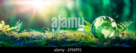 Environment Concept - Globe Glass In Green Forest With Sunlight Stock Photo