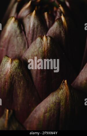 Artichoke Stock Photo