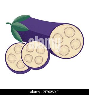 Purple eggplant sliced with seeds in the style of a modern flat with a noisy grunge texture. Vegetable for the Mediterranean or vegan diet . Stock Stock Vector