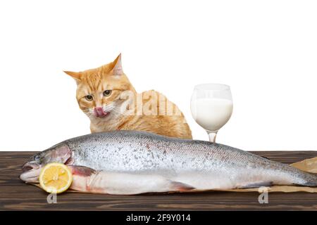 Big, red cat and big fish on the table Stock Photo