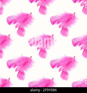 Bright pink bird feather repeat seamless pattern on light background. Stock Photo