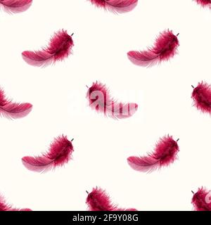 Dark pink bird feather repeat seamless pattern on light background. Stock Photo