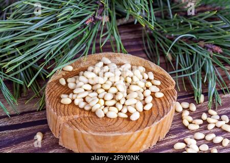 Fresh peeled pine nuts with green coniferous branches on light wooden background. Stock Photo