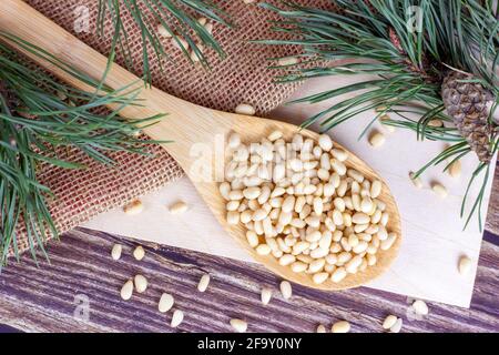 Fresh peeled pine nuts in the spoon with green coniferous branches on light wooden background. Stock Photo