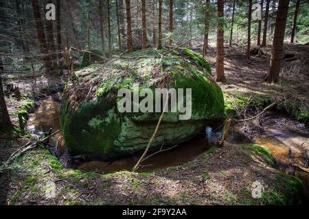 Small creek in the forest, Waldviertel, Austria, Europe Stock Photo