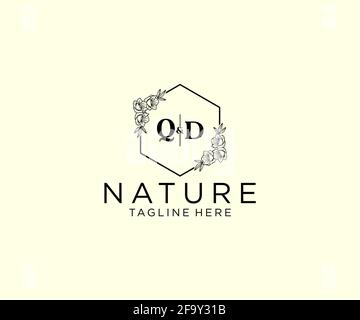 QD letters Botanical feminine logo template floral, editable premade monoline logo suitable, Luxury feminine wedding branding, corporate. Stock Vector