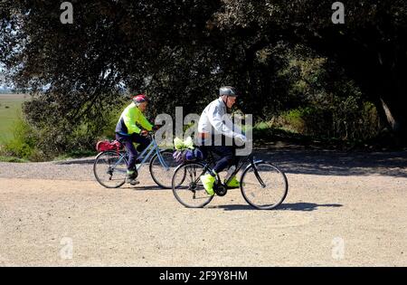 senior couple cycling at holkham estate, north norfolk, england Stock Photo