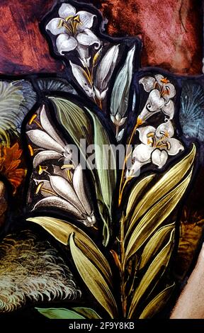 stained glass window of white lily flowers, st andrew church, brinton, north norfolk, england Stock Photo