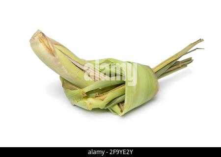Piece of aromatic lemongrass in a knot isolated on white background Stock Photo