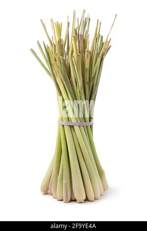 Bunch of fresh raw oranic whole lemongrass stems isolated on white background Stock Photo