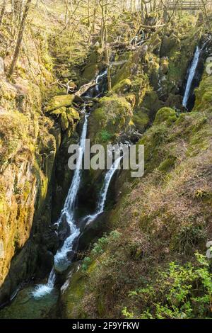 Stock Ghyll Force, a waterfall in Ambleside, Cumbria, England, UK Stock Photo
