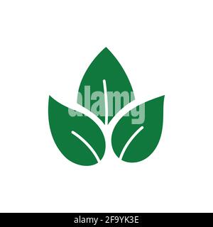 Eco leaves, logo, icon, template and design elements on white isolated background in green color. Vector illustration. Stock Vector