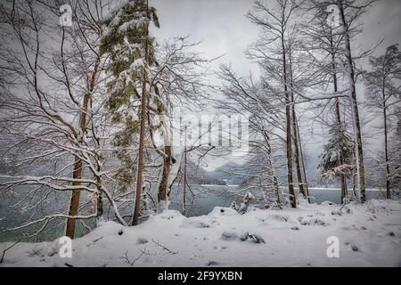 DE - BAVARIA: Winter scene along Lake Walchensee Stock Photo