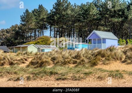 Beach huts between dunes and pine trees at old Hunstanton beach in North Norfolk. Stock Photo
