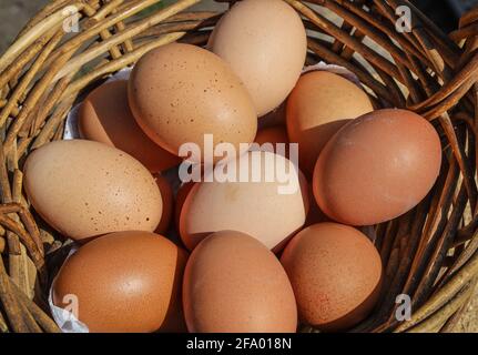 Free range hens eggs in a wicker backet, close up Stock Photo
