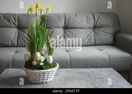 Easter yellow flowers composition at home interior with grey couch in living room. Domestic life. Beautiful DIY flowers composition. Stock Photo