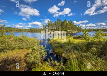 Lake in Glaskogen nature reserve Sweden Stock Photo