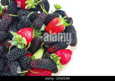 Varieties of red strawberry and black mulberry  on a white background, copy space, summer fruits. Stock Photo