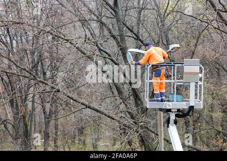A utility worker in an orange uniform uses a construction hoist to repair street lighting on a pole against the trees in the park. Copy space. Stock Photo