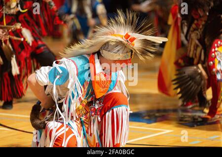 Indigenous Pow Wow Celebration Stock Photo